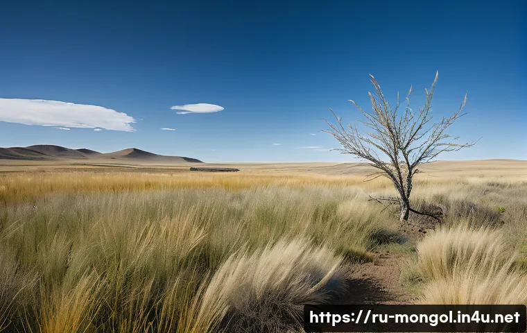 몽골의 자생 식물 - A detailed scene of the Mongolian steppe during a dry season, showcasing feather grass (Stipa pennat...