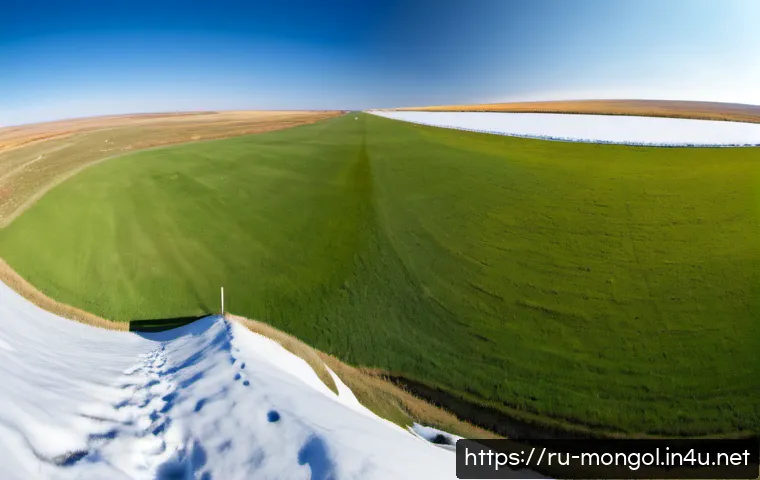 몽골 대초원의 사계절 - Photorealistic four-season panorama of the Mongolian steppe arranged as a natural horizontal landsca...